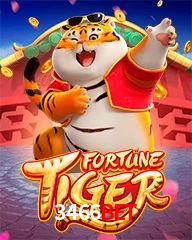 3466BET.COM